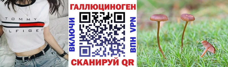 как найти закладки  Безенчук  Галлюциногенные грибы Psilocybe 